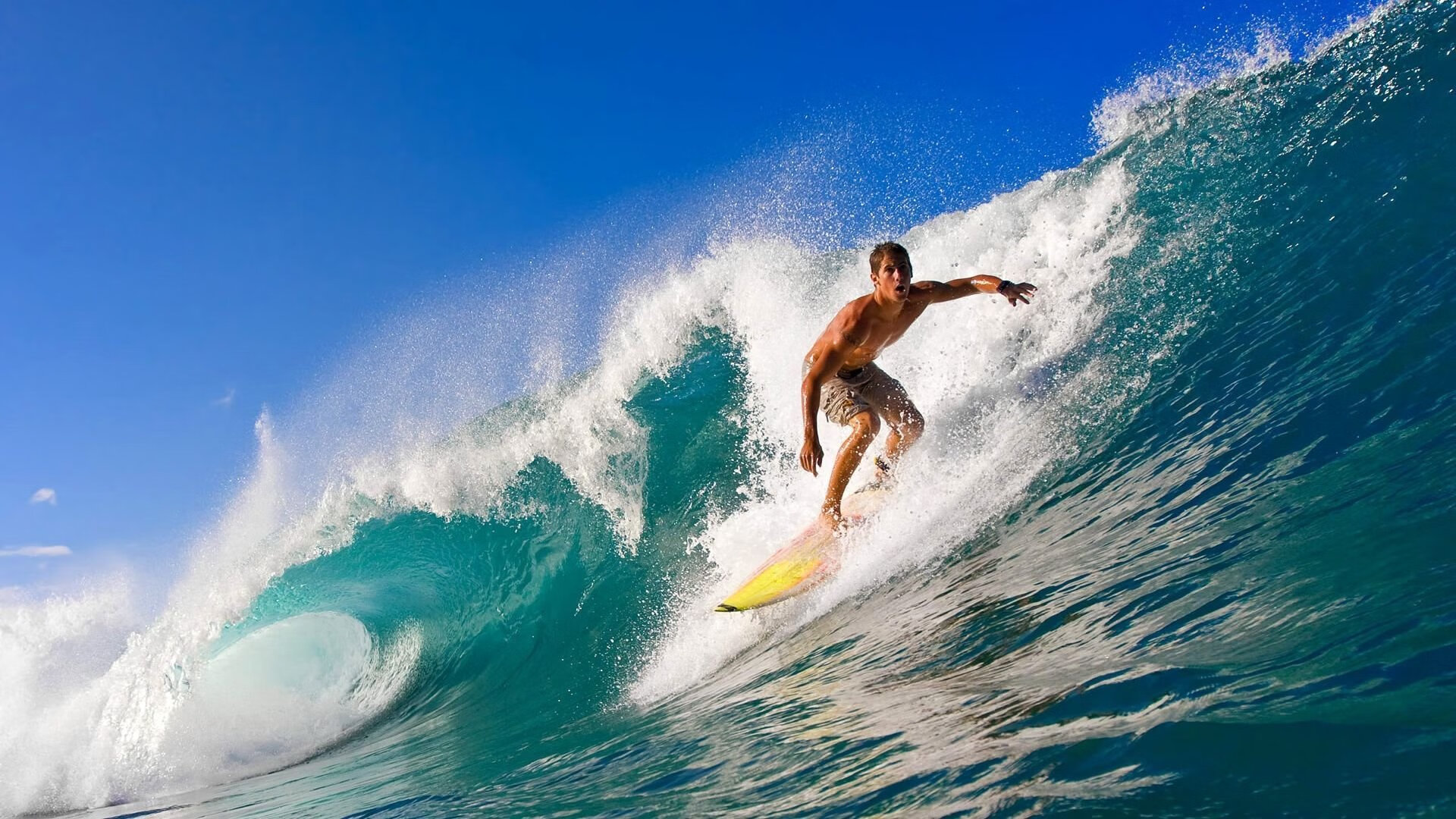 山地越野自行车赛事，穿越森林与丘陵的极速挑战，2020山地自行车越野赛